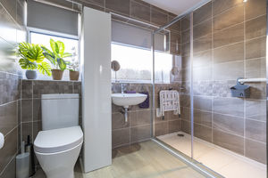 Shower Room- click for photo gallery